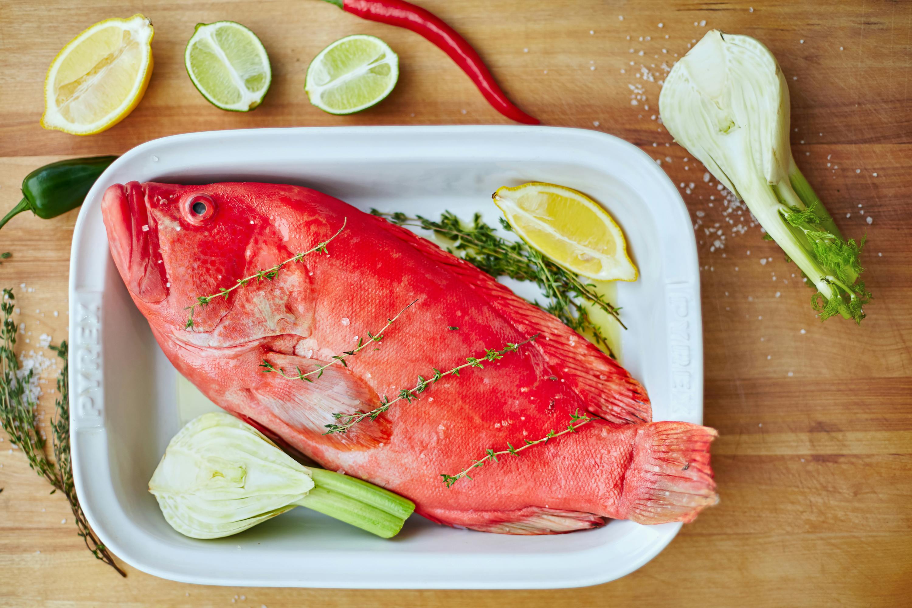Smart Ways to Improve Your Wild Diet for Enhanced Wellness 2025