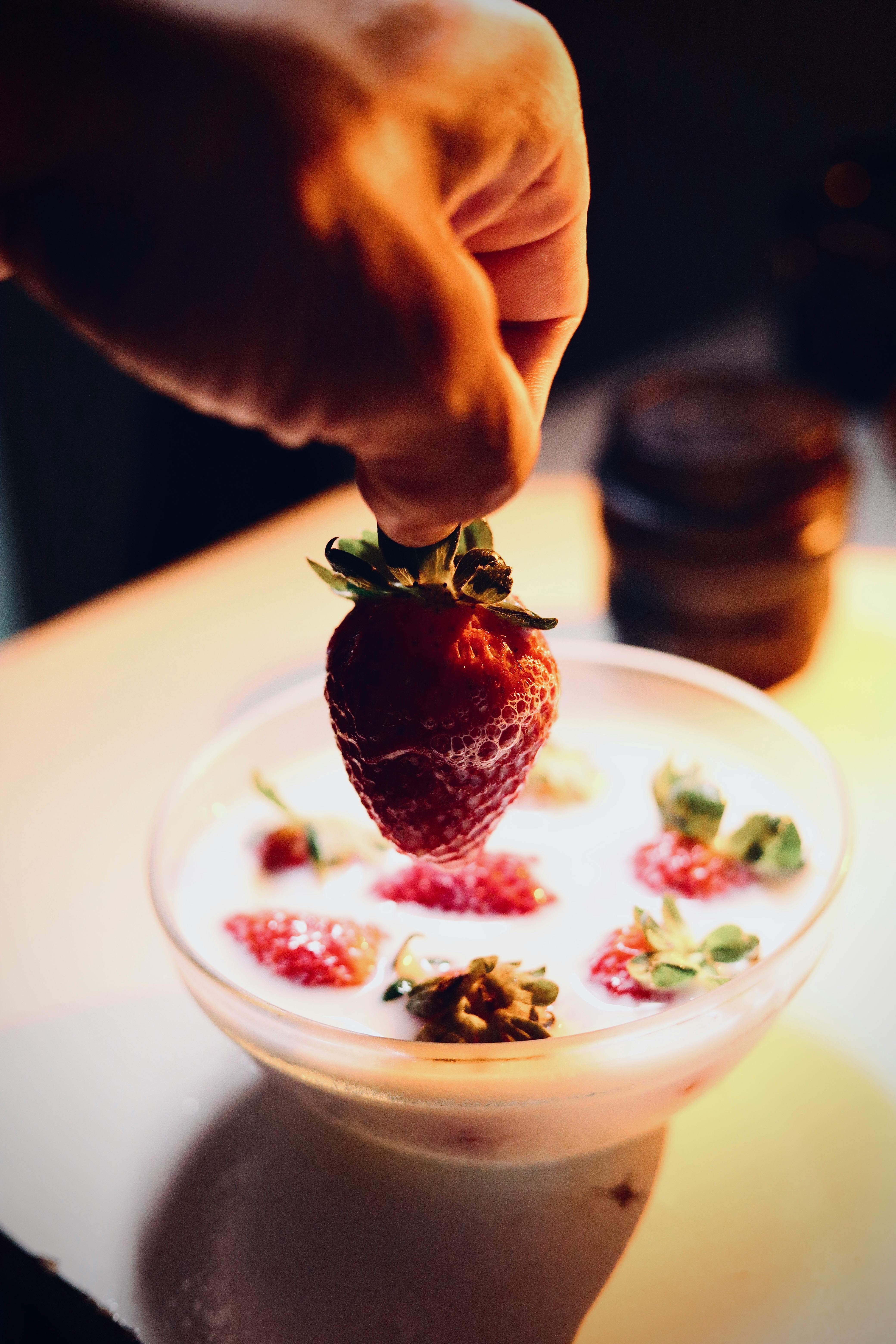 Smart Ways to Optimize Carnivore Diet Recipes for 2025!