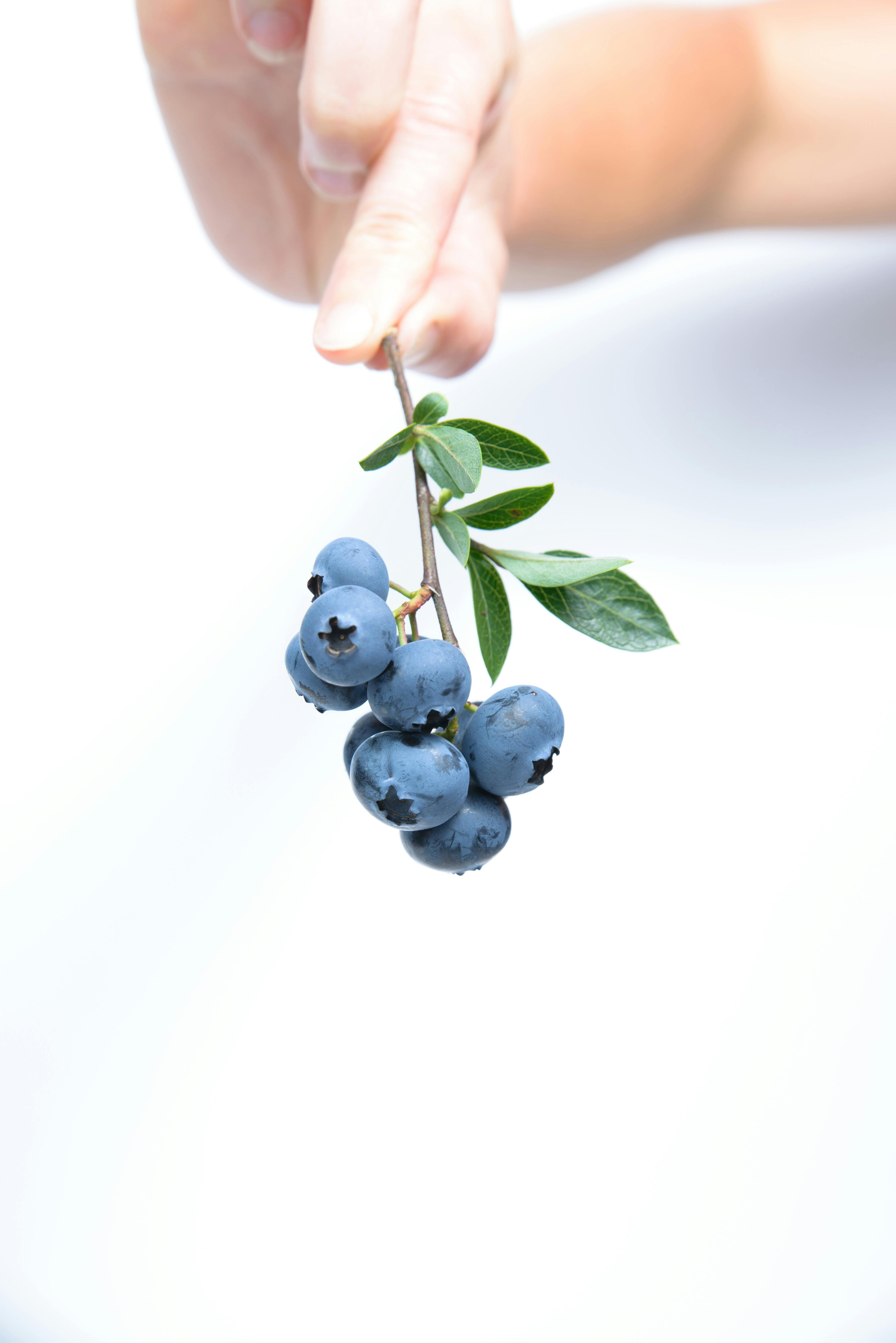 Neutropenic Diet Overview