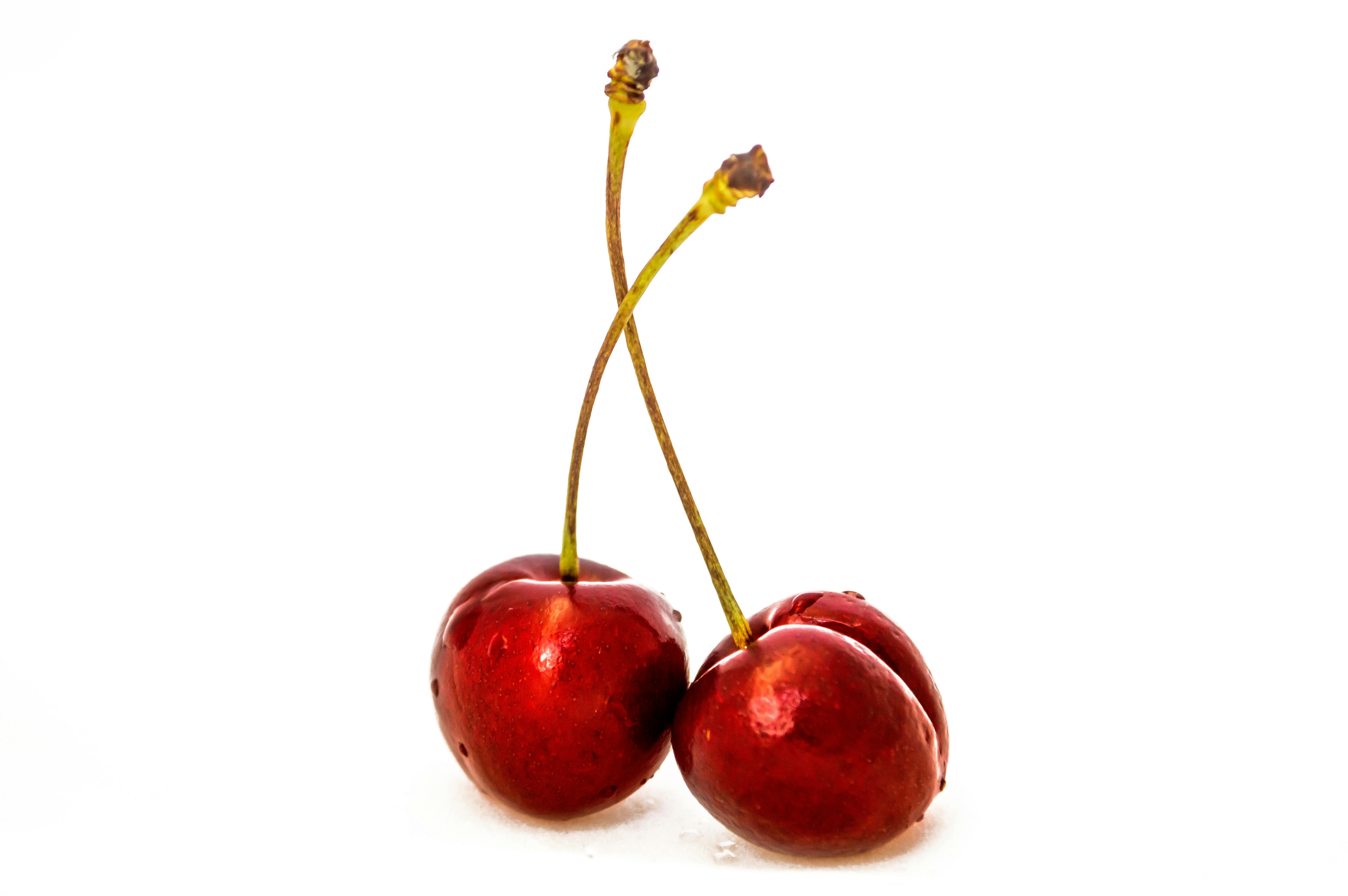 Stoat Diet Depiction