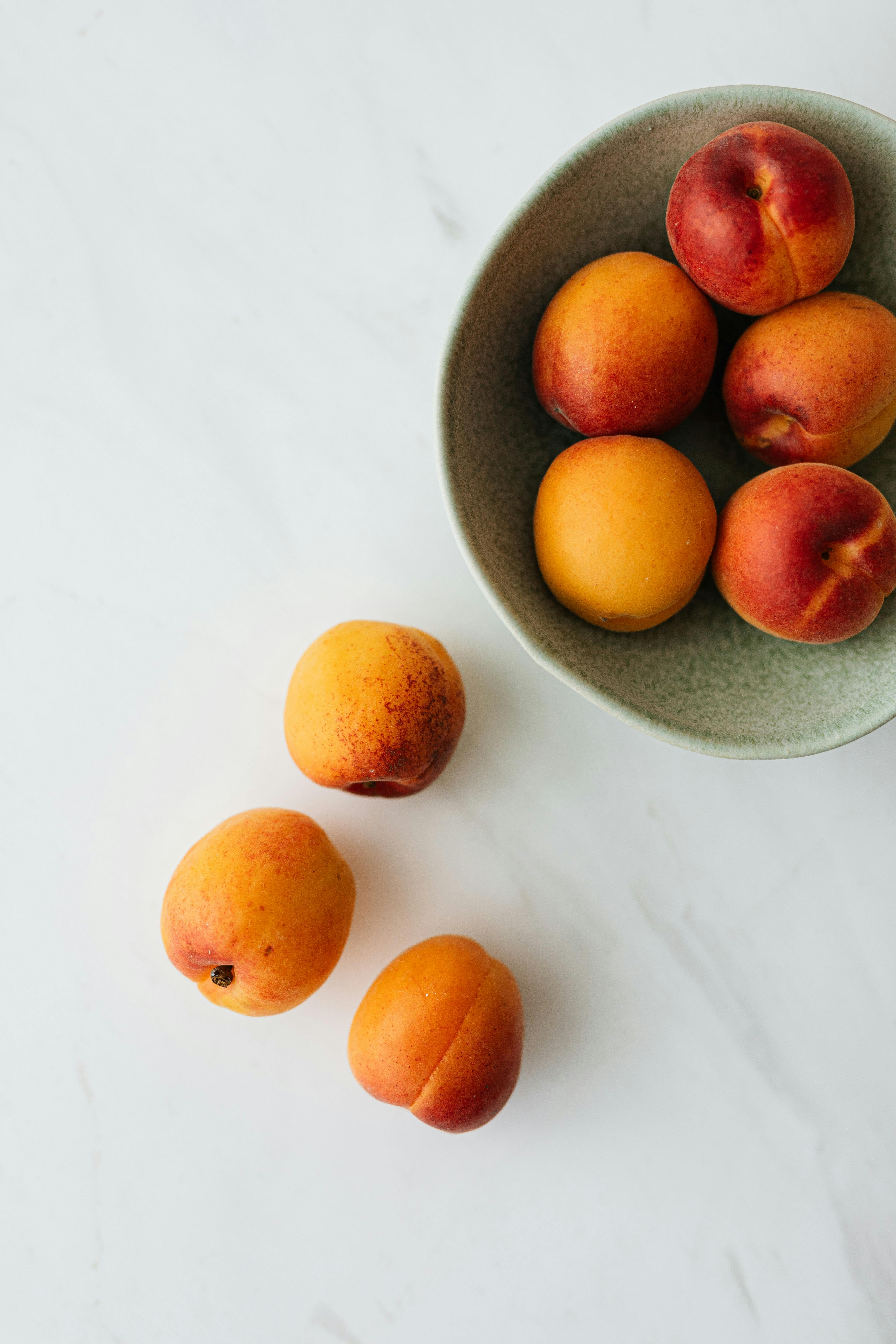 Effective Ways to Improve Your Mouse Diet for Optimal Health in 2025