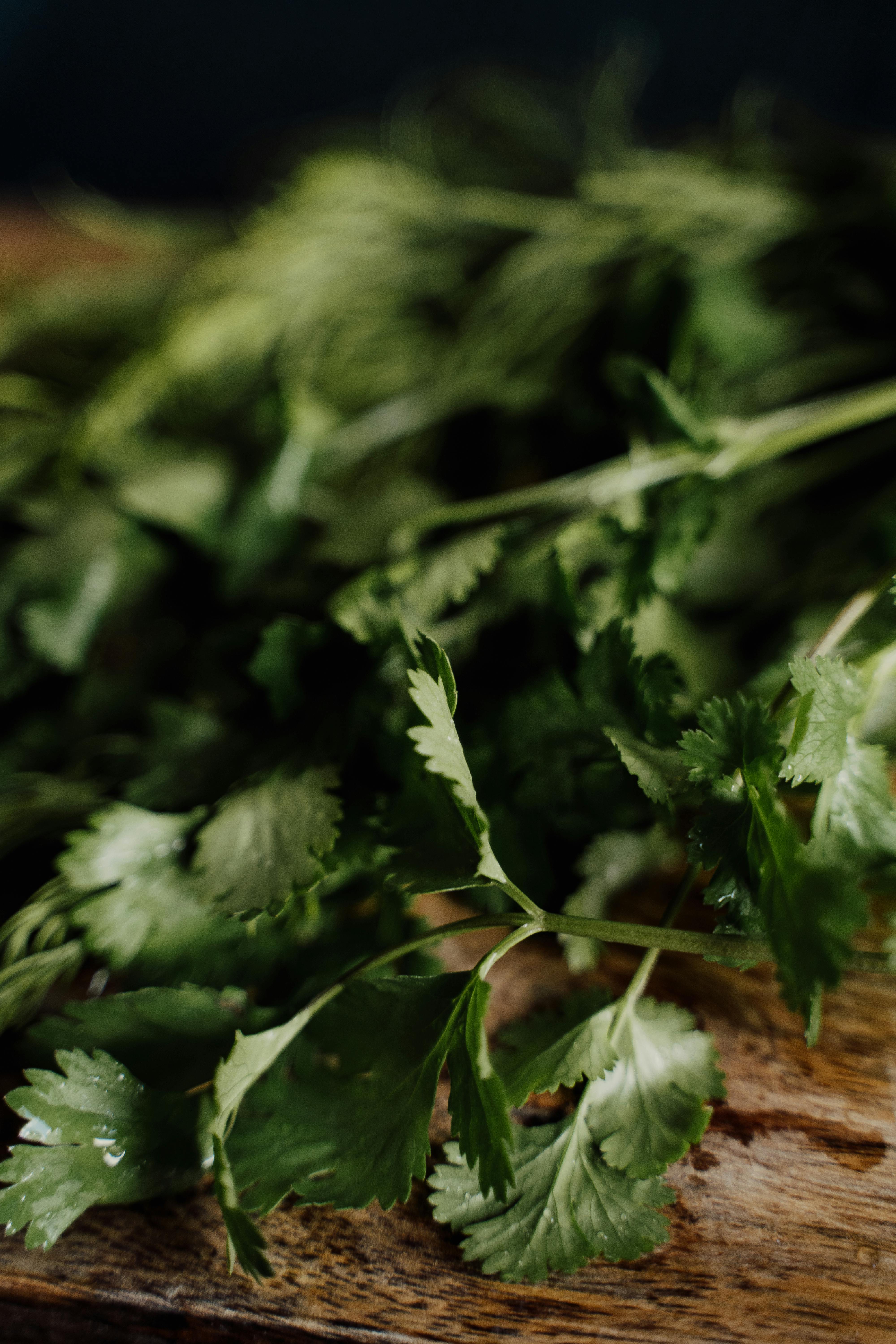 Best 7 Mounjaro Diet Options to Enhance Health in 2025