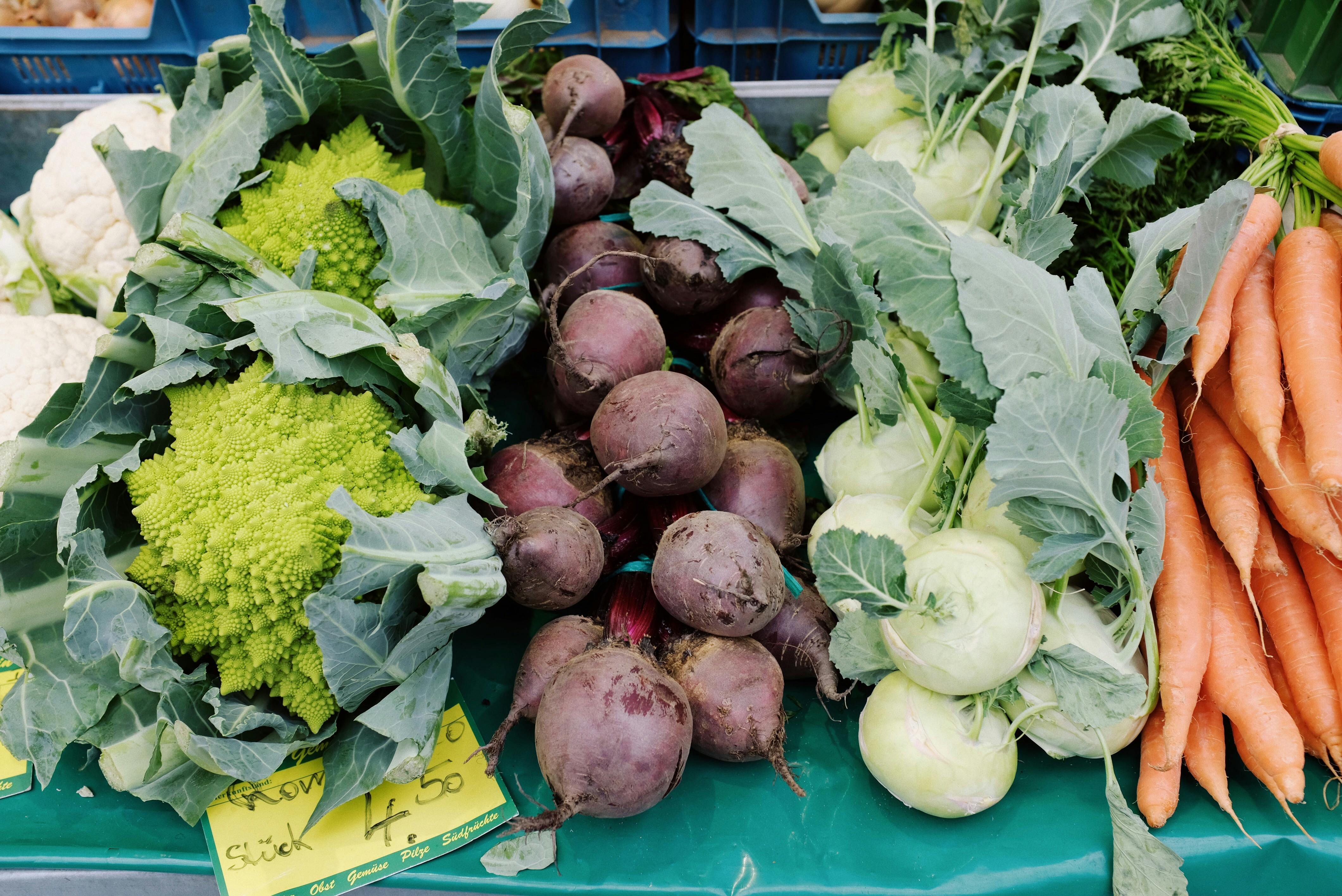 Nutrition and Wellness Strategies