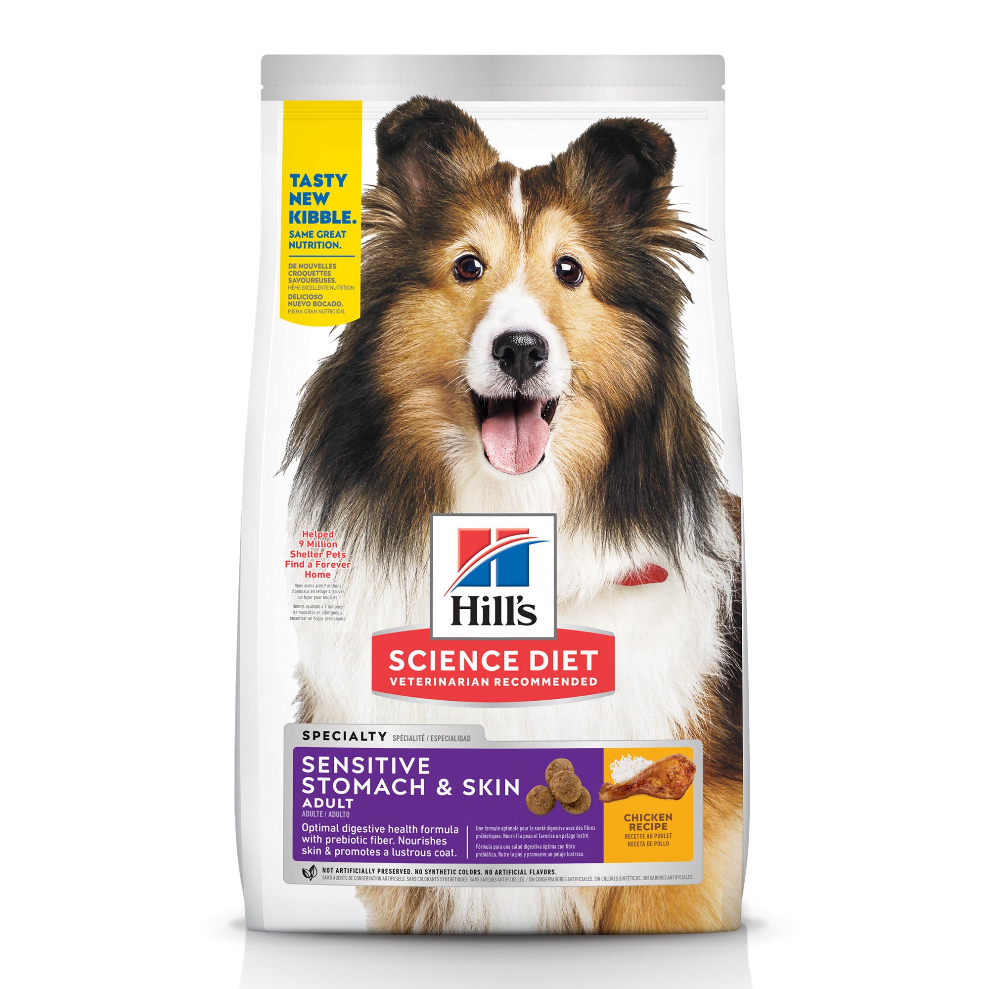 Healthy Dog Meals