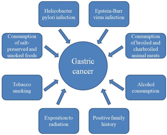 H. Pylori Diet and Hedgehog Diet